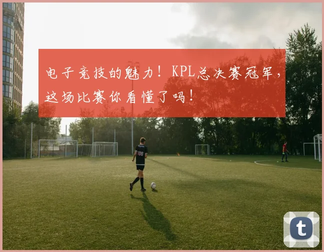 电子竞技的魅力！KPL总决赛冠军，这场比赛你看懂了吗！