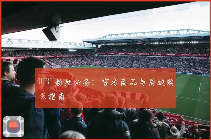 UFC 粉丝必备：官方商品与周边购买指南